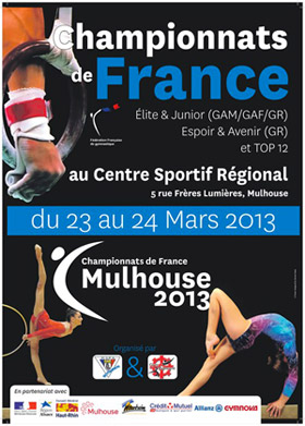 Championnats de France de gymnastique 2013